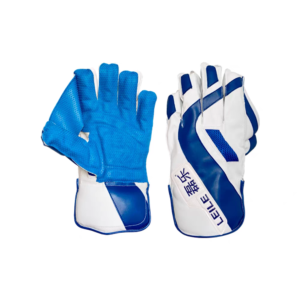 Wicket Keeping Gloves