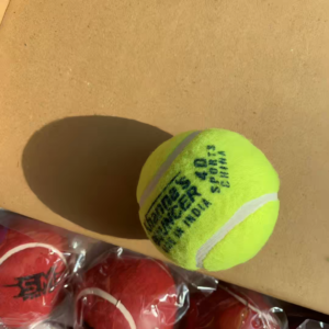 Tennis Cricket Ball